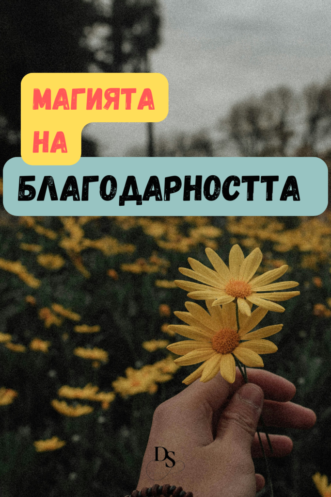 Магията на Благодарността